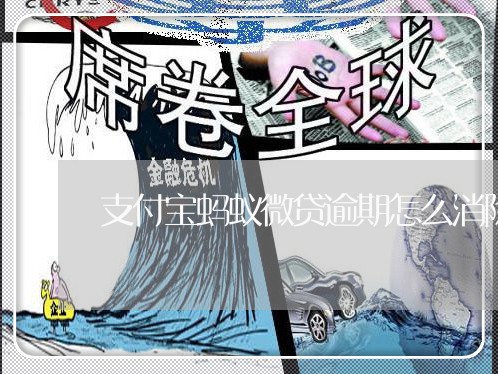 蚂蚁微贷客户端蚂蚁微贷申请入口