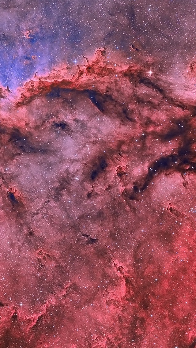 苹果版恒星视频恒星视频在线使用