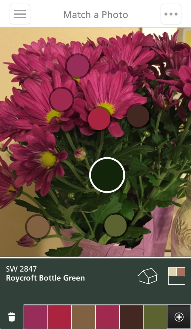 Colorsnap苹果版itools苹果投屏大师官网
