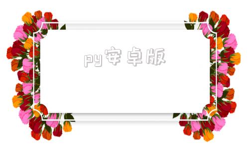 py安卓版python官网网站