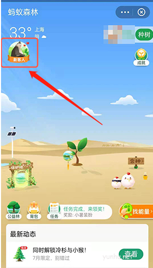 蘑菇宝苹果版苹果版球球大作战刷金蘑菇
