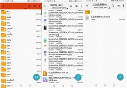 去演安卓无广告破解版爱奇艺去广告破解版pc-第2张图片-太平洋在线下载