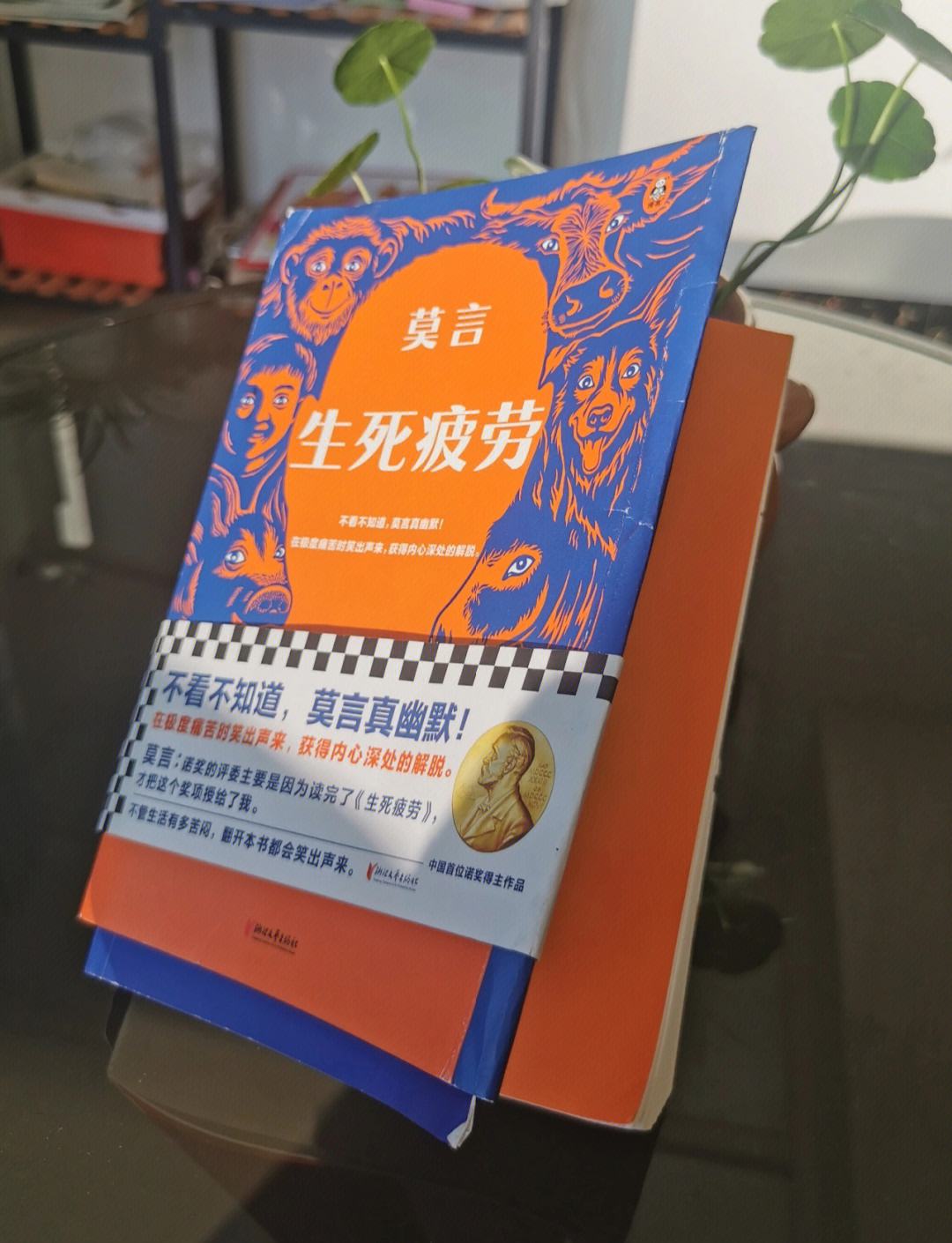 生死疲劳文档下载手机版生死疲劳全文免费阅读txt下载-第2张图片-太平洋在线下载