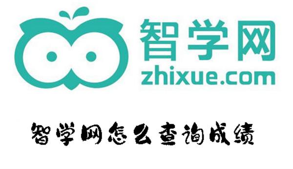 中国智力网客户端免费创建网站的平台