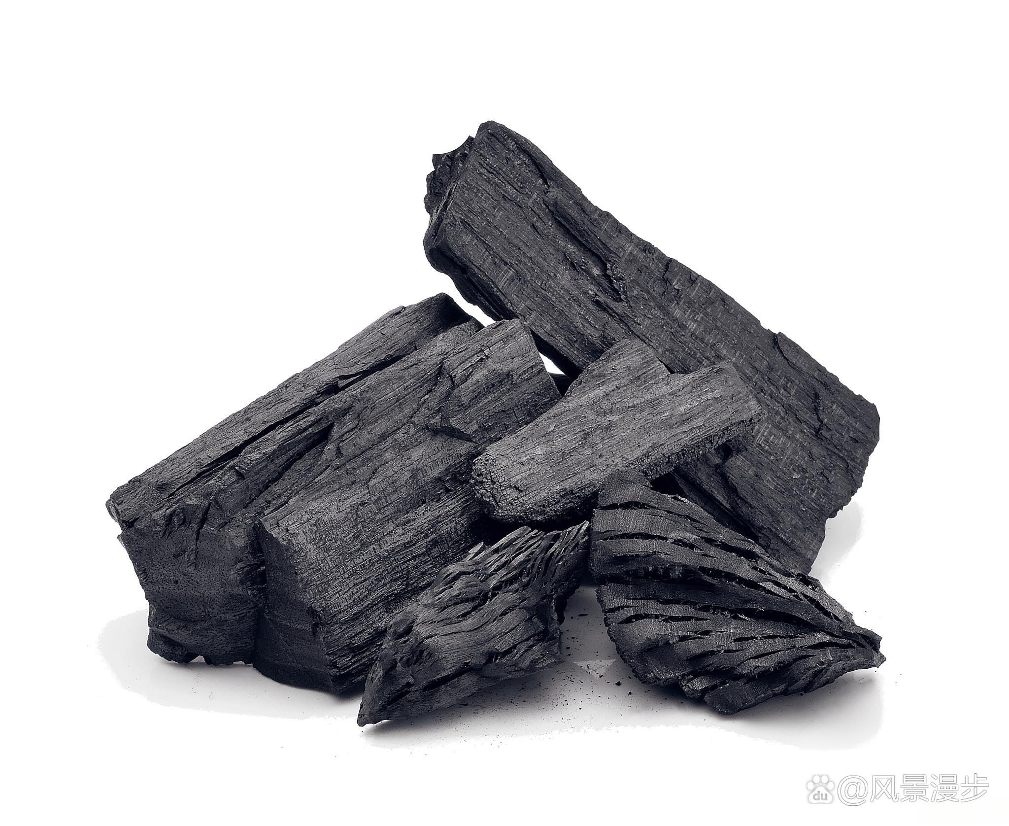 我的世界手机版木炭饥荒手机版木炭怎么弄-第2张图片-太平洋在线下载
