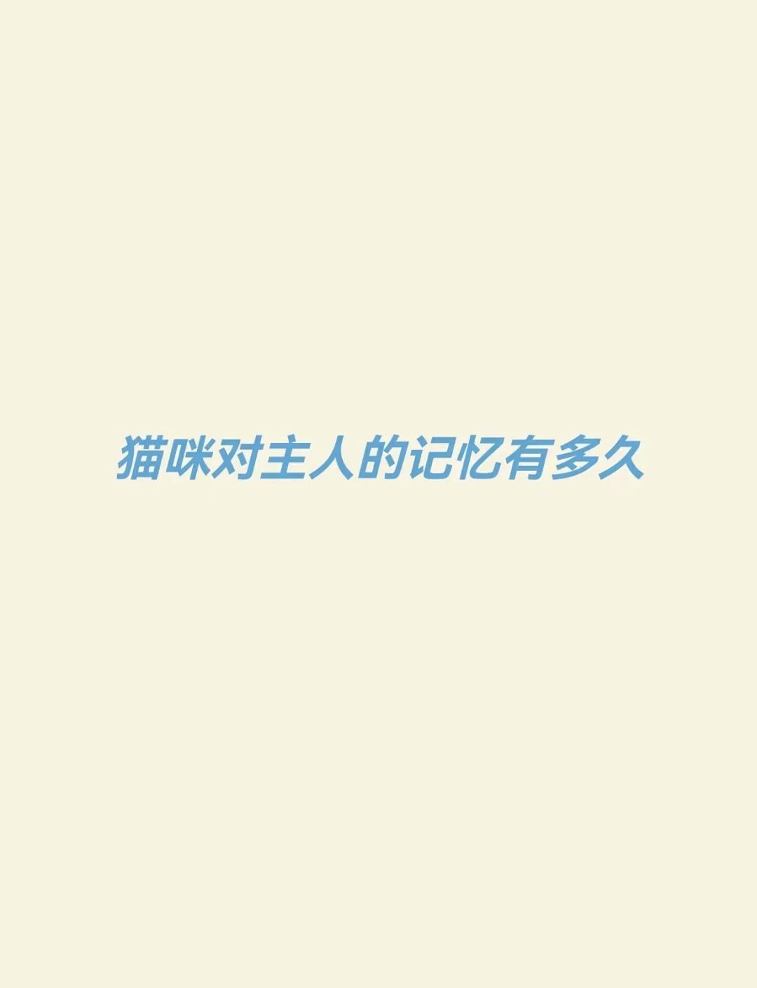 猫咪记忆安卓版刺客伍六七之记忆碎片免费观看-第2张图片-太平洋在线下载