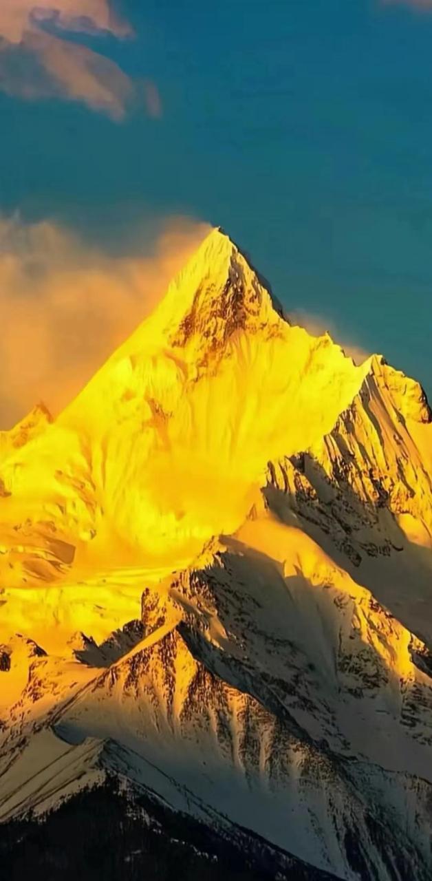 下载金山卫士手机版金山卫士手机助手下载