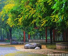 念彩安卓版小米幻彩随影app官网下载-第2张图片-太平洋在线下载